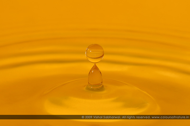 Photographing Water Drops